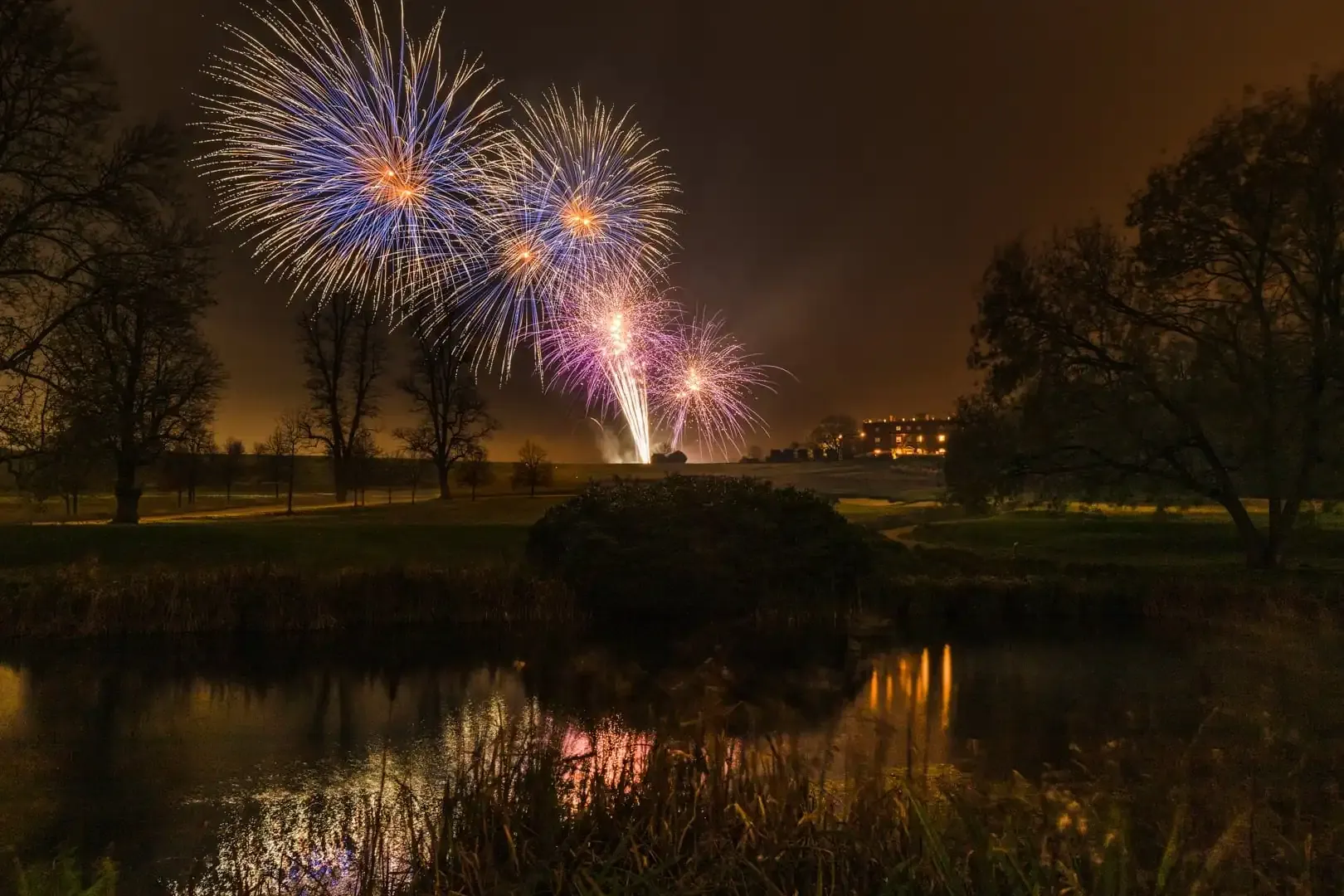 Fireworks Night At The Grove
