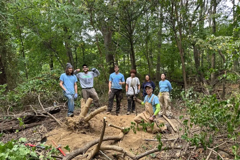 Woodlawn Wednesdays: Forest Restoration