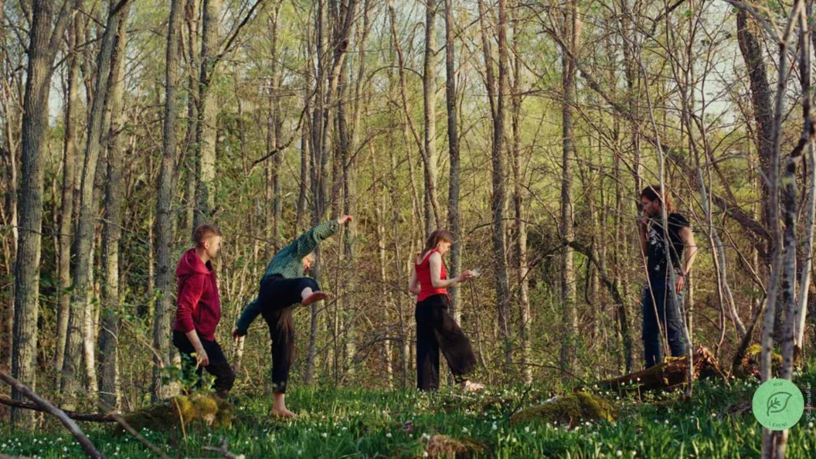 Once Upon a Time in a Forest