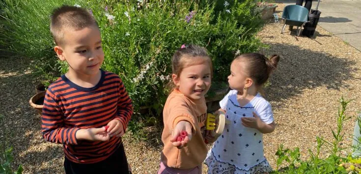Family Allotment Club