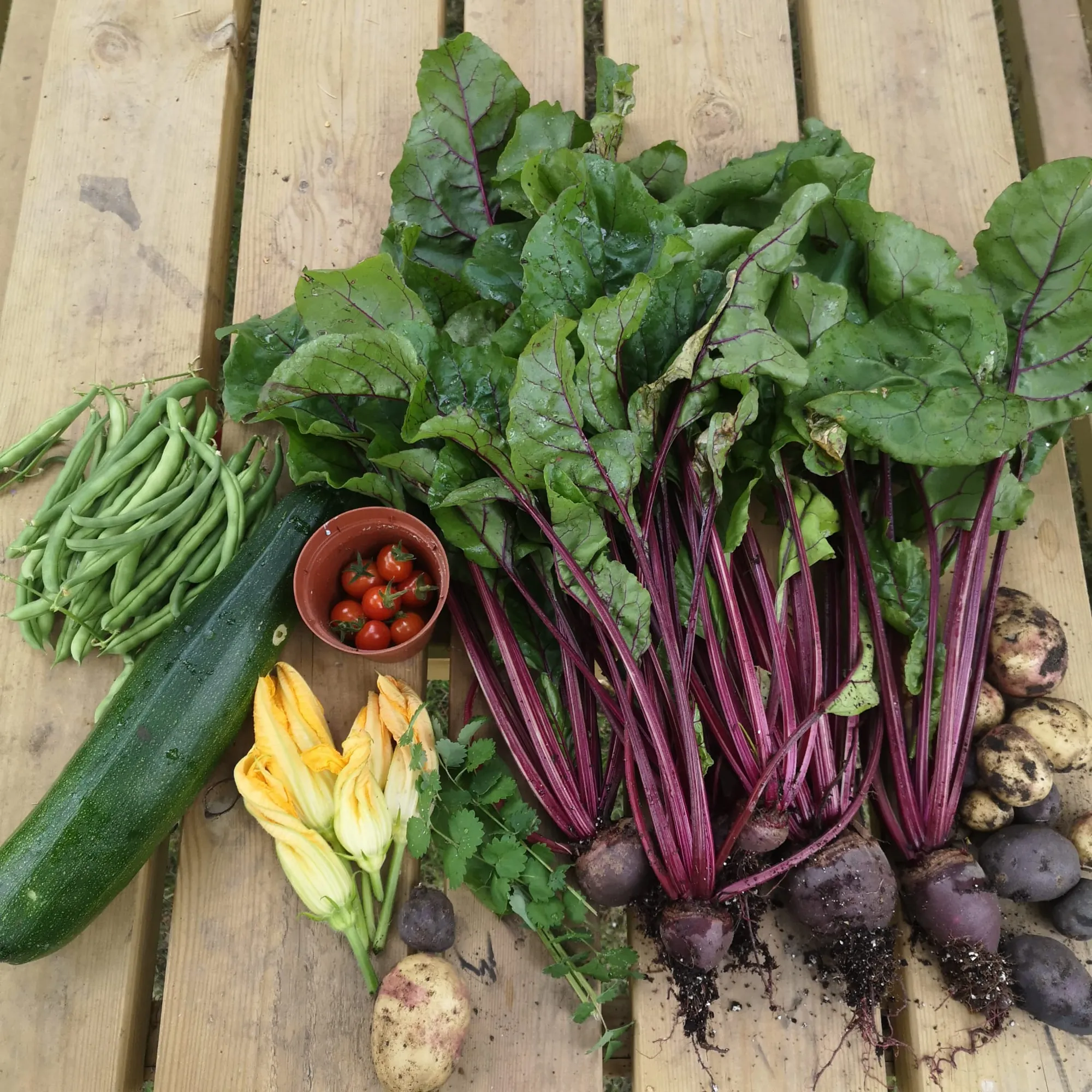 Gardening | Community Garden