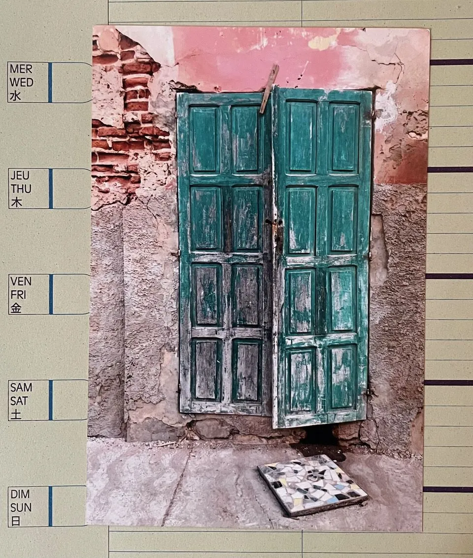 Haleh Redjaian: Transit