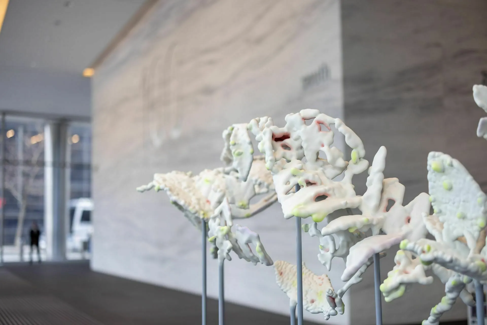 Glasshouse Stories – an installation by artist Claudia Fontes