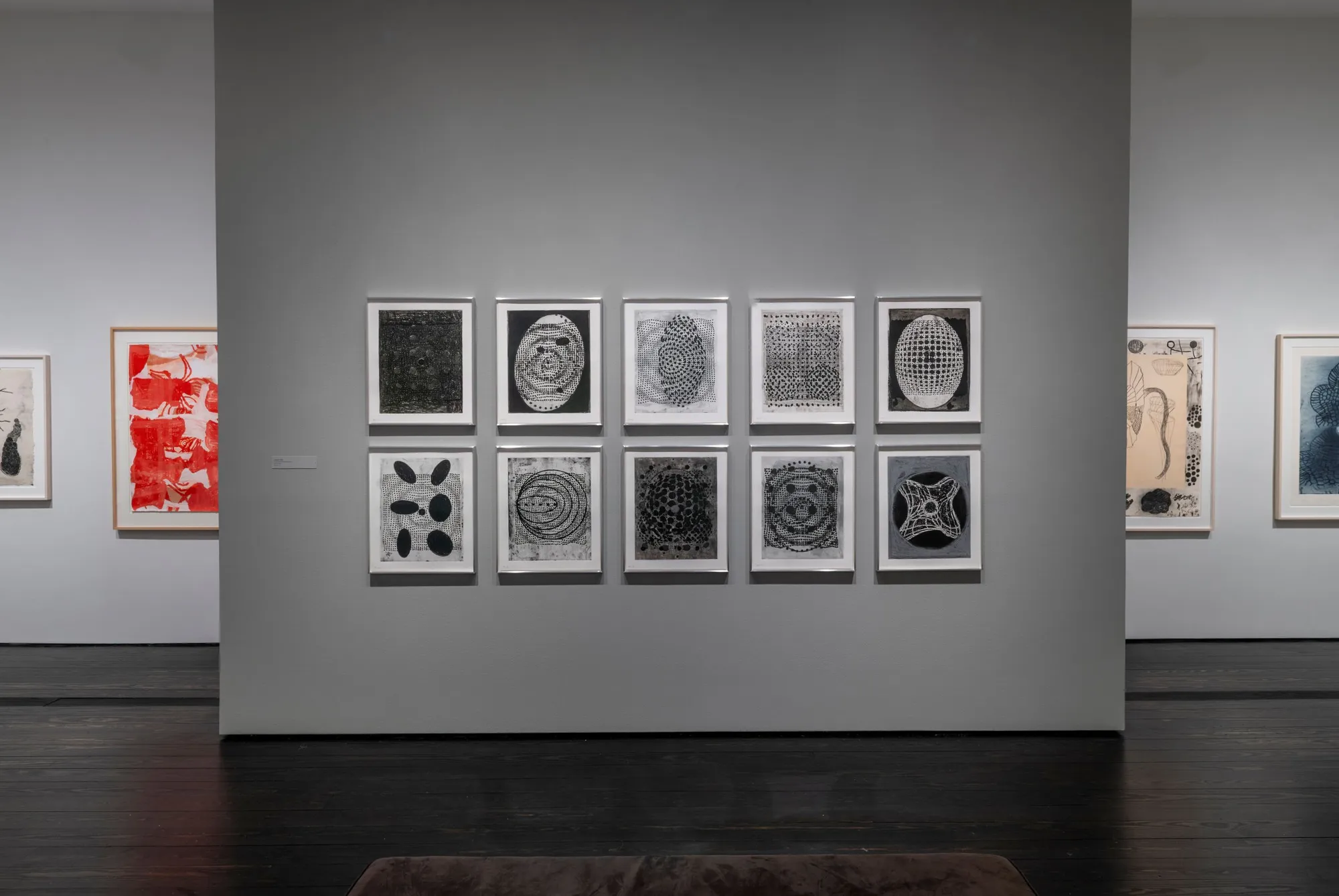 Terry Winters: Vitalized Geometry