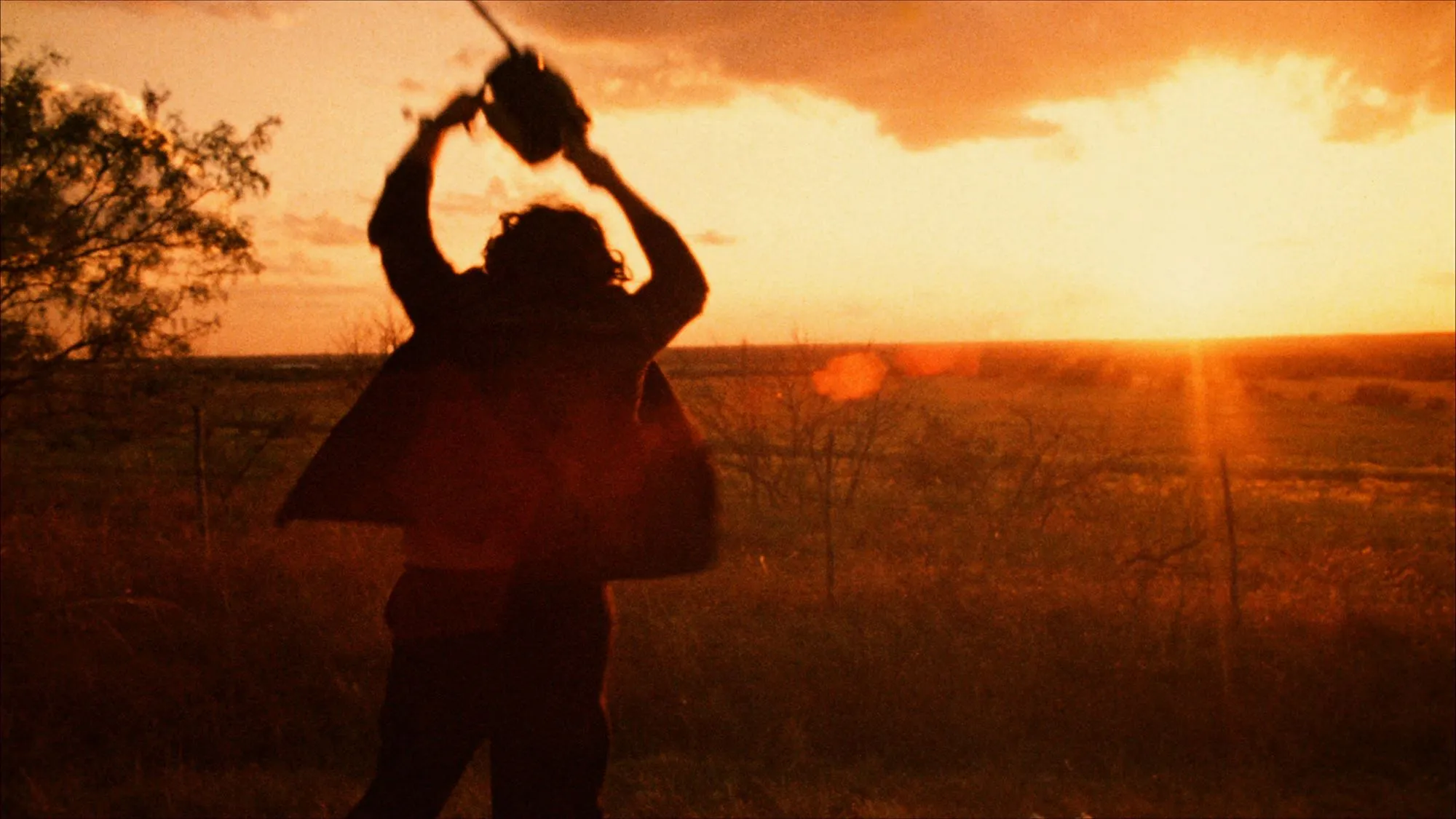 Area Coded: American Regionalism in Film