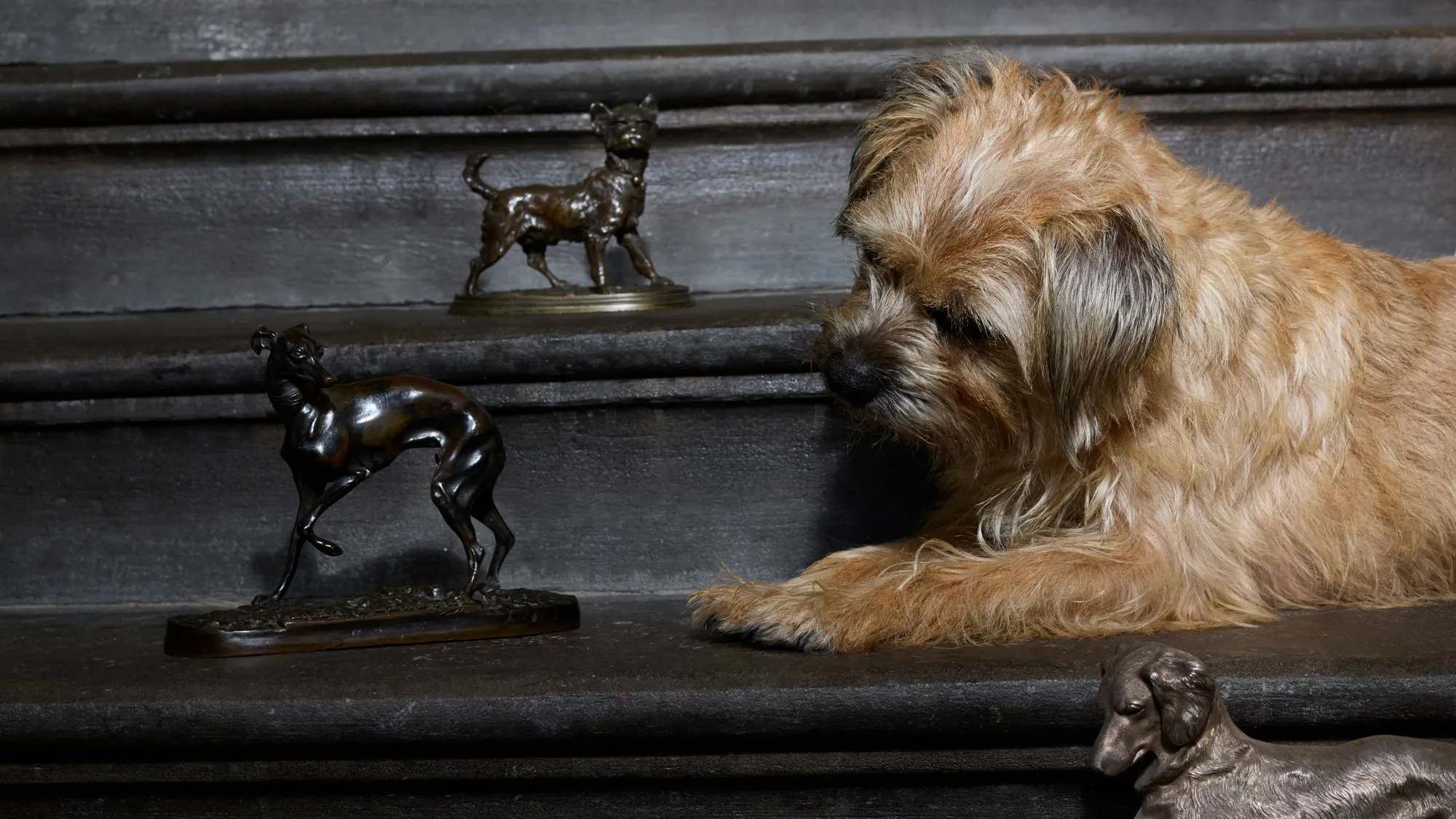 Five Centuries Auction Viewing - Edinburgh