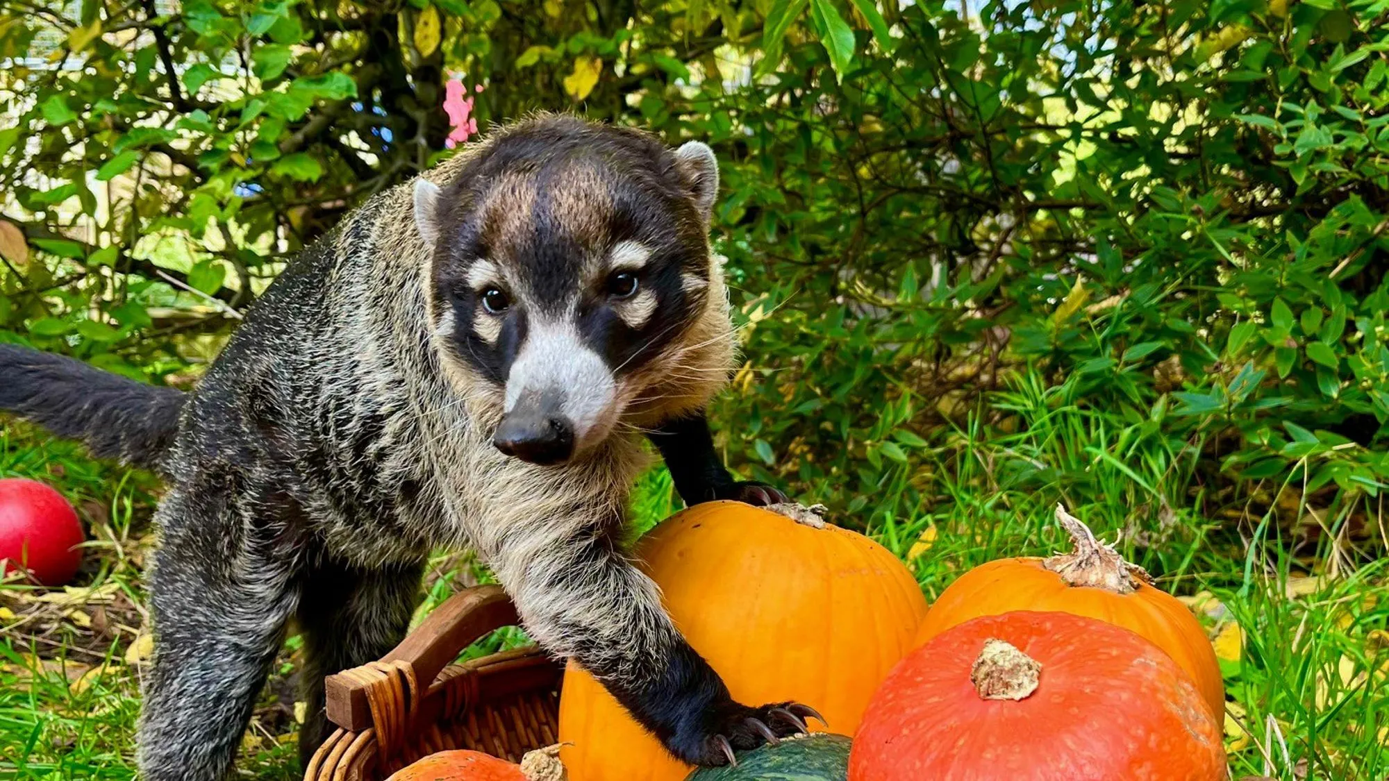 Not So Spooky Halloween