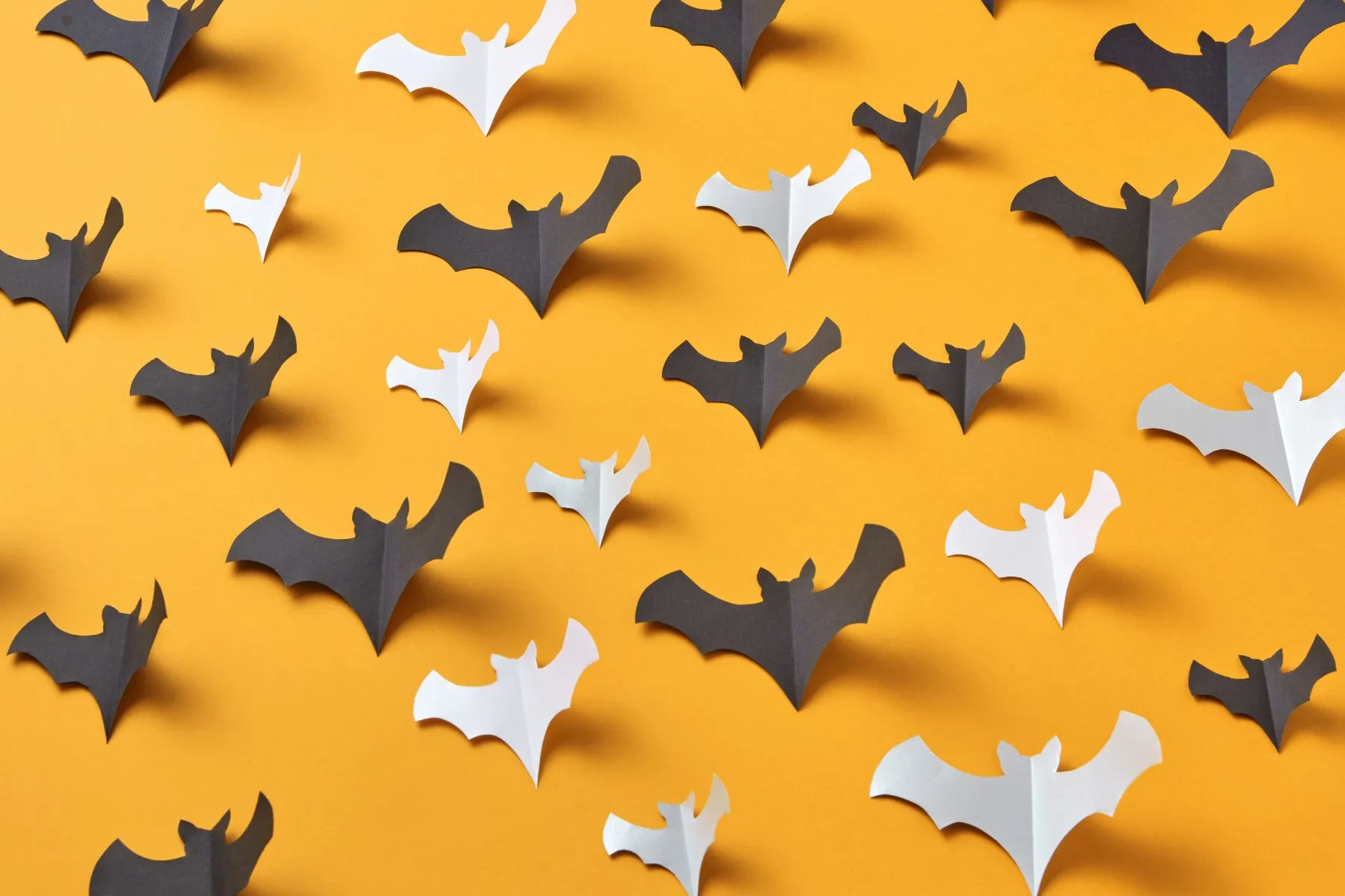 Oct Half Term: Spooky Squadrons