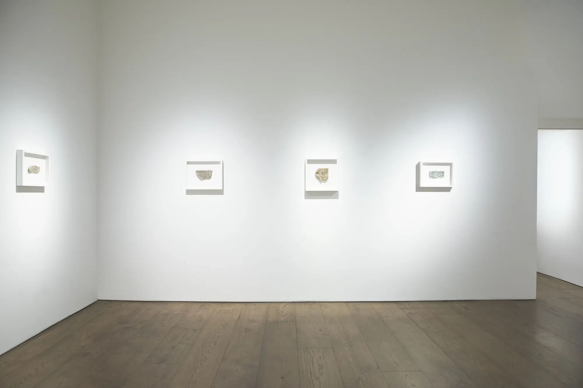 Lower Gallery Spotlight Movana Chen