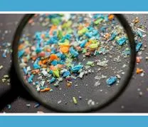 STEM Collective Workshop Series: Microplastics & Sustainability
