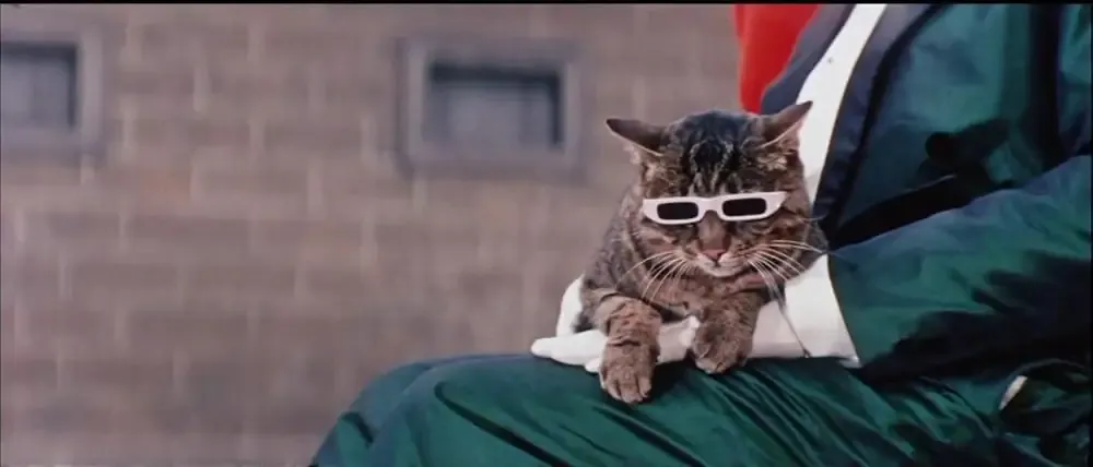 Als der Kater kam