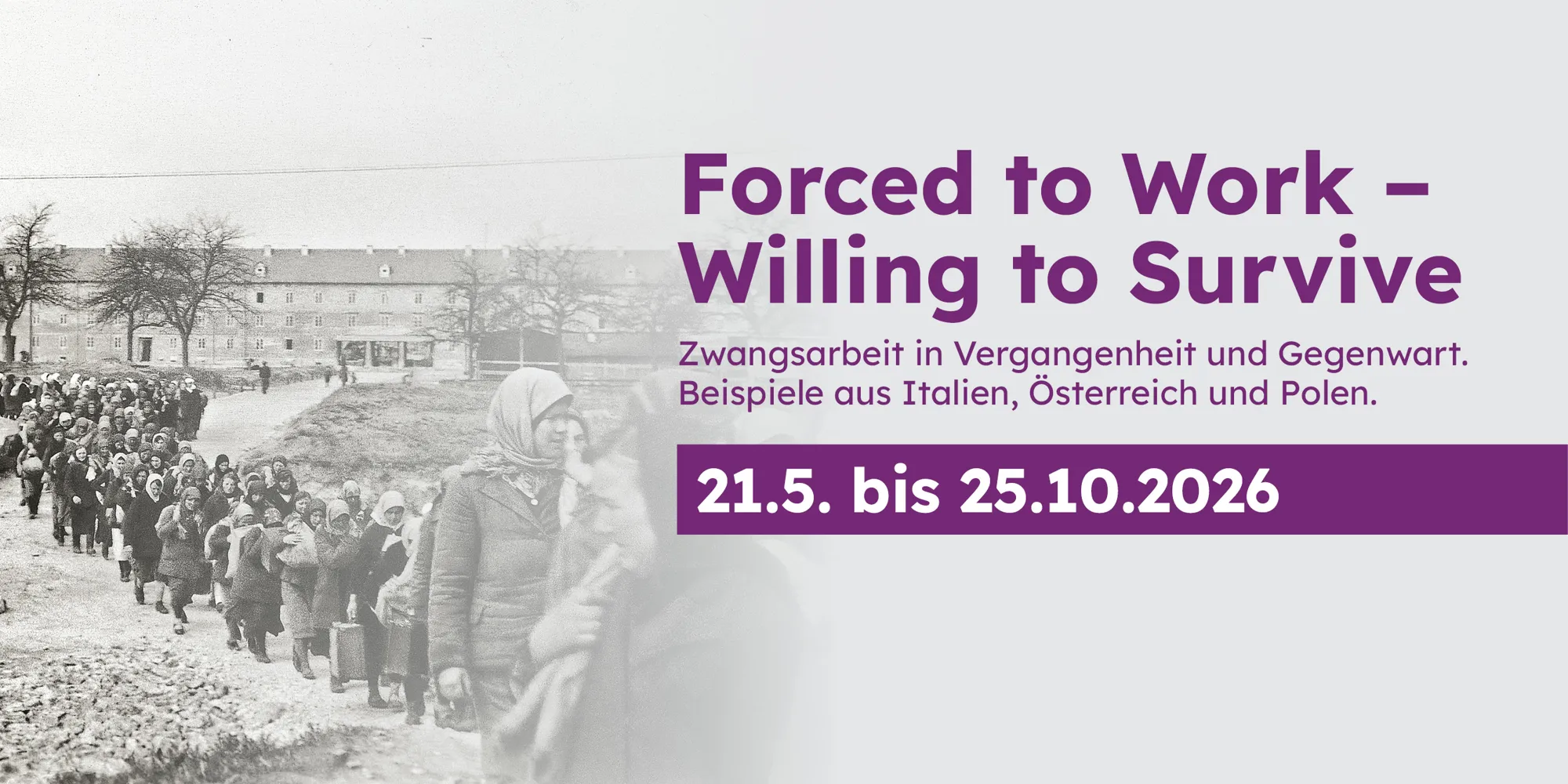 Forced to Work – Willing to Survive