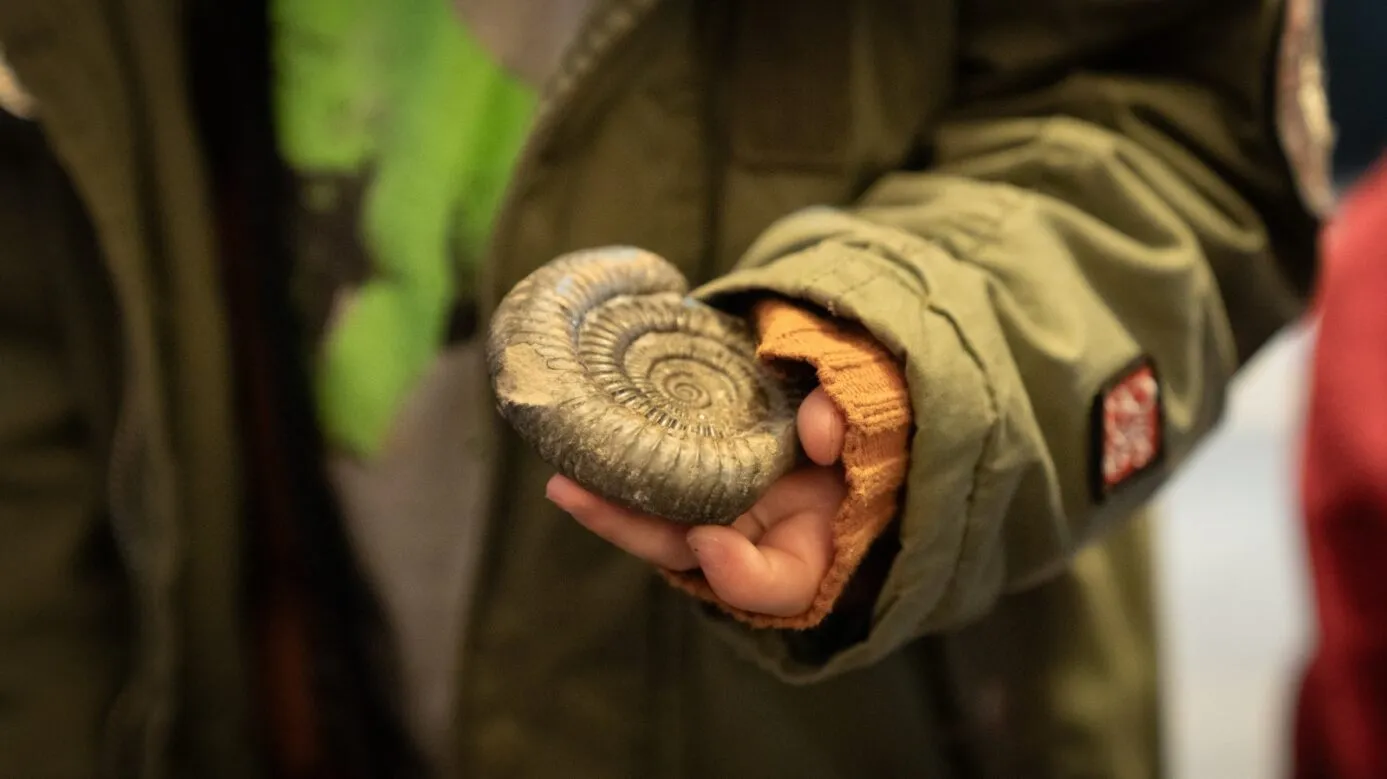 Fossils Day Workshop with the Geological Society