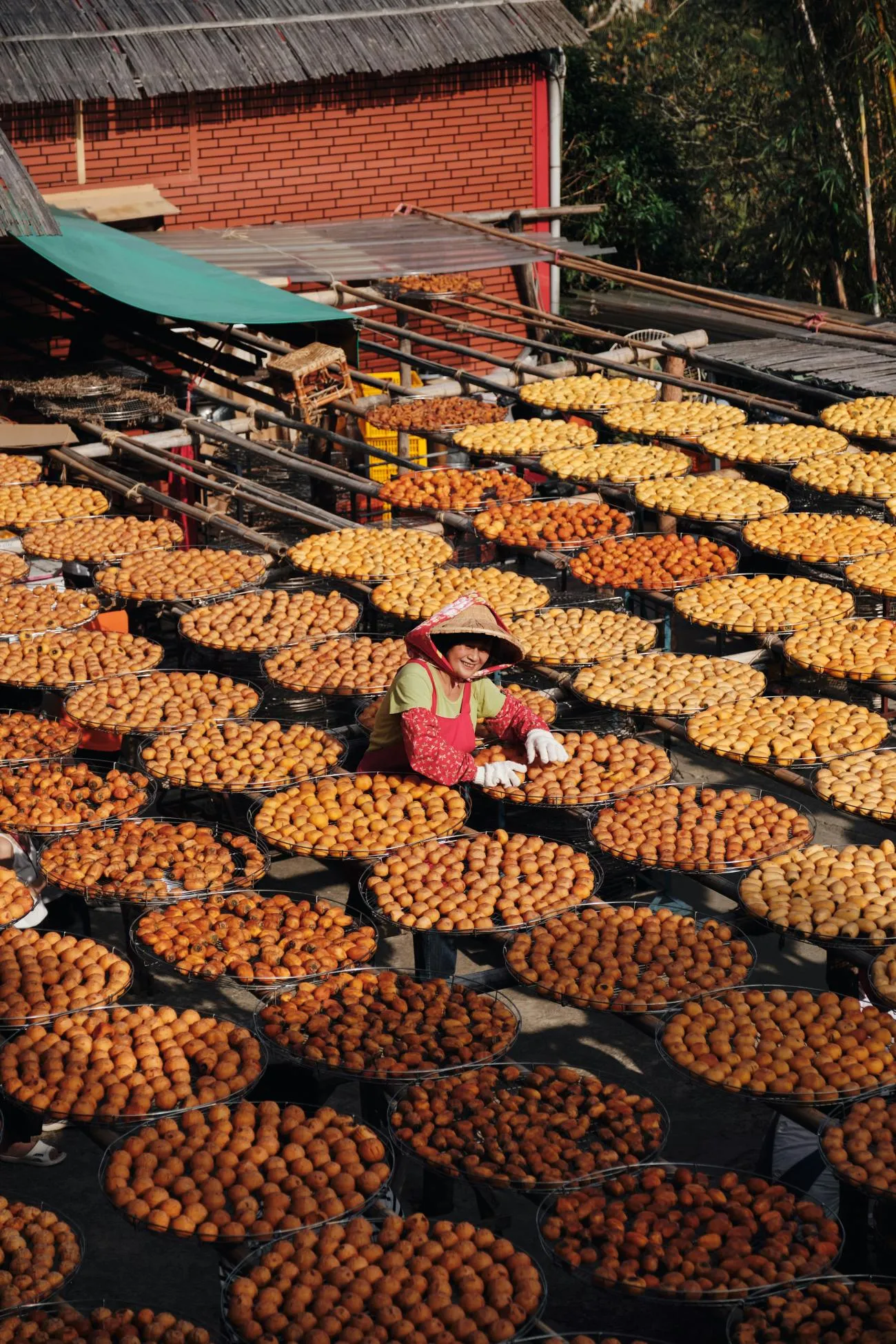 Beyond categories: intimacy, agency, and identity in Taiwan