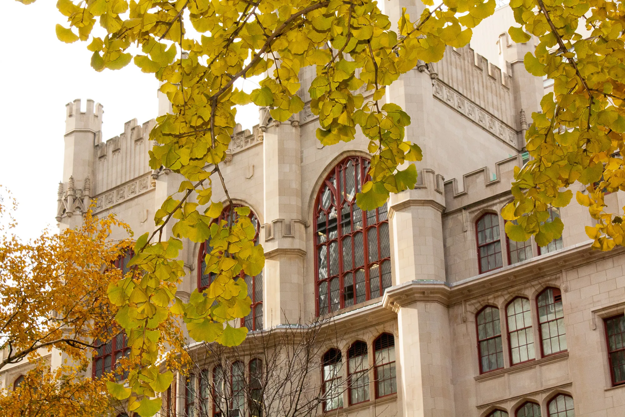 Hunter College