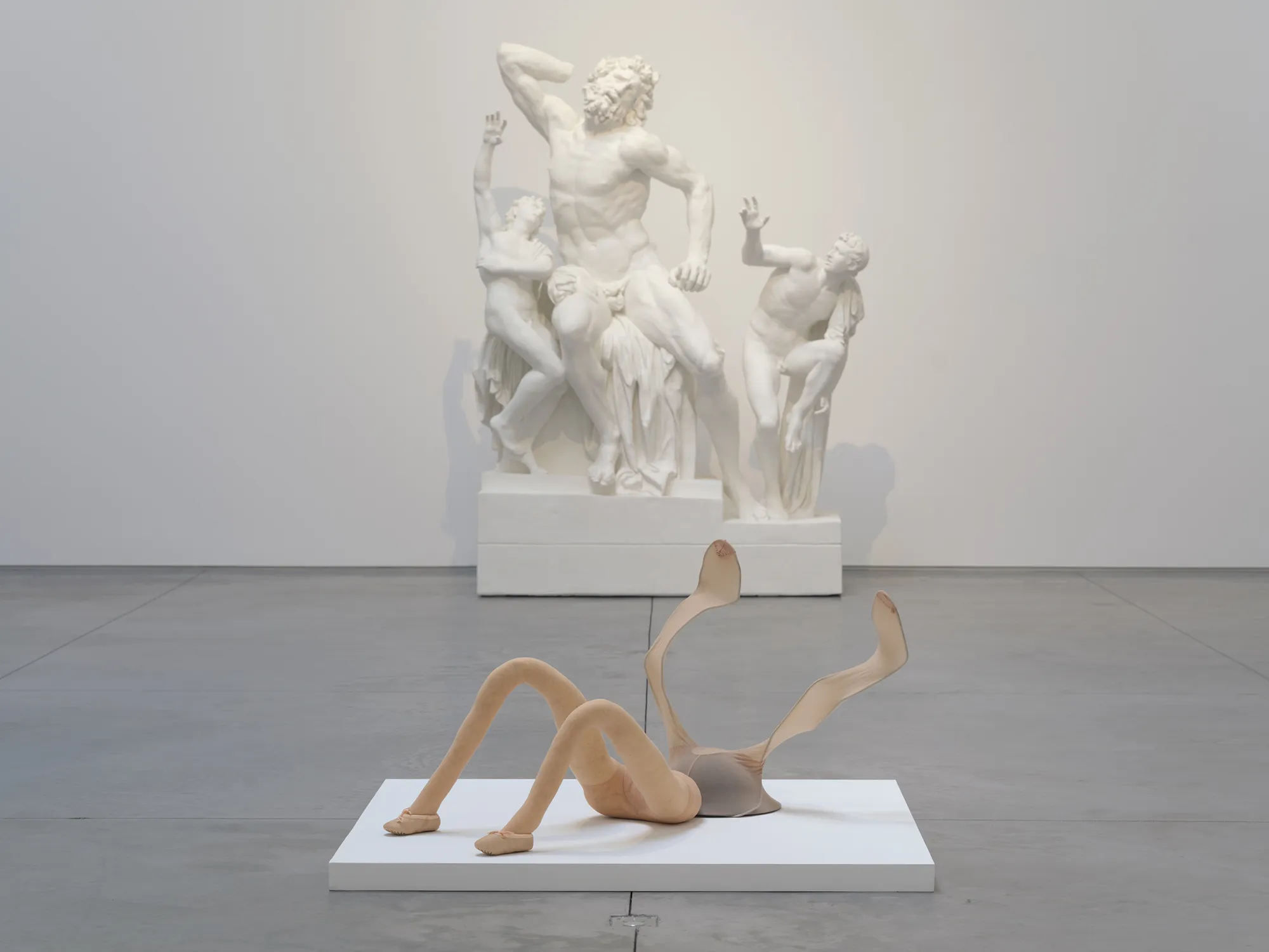In Our Image: The Fragile Body in Contemporary Art