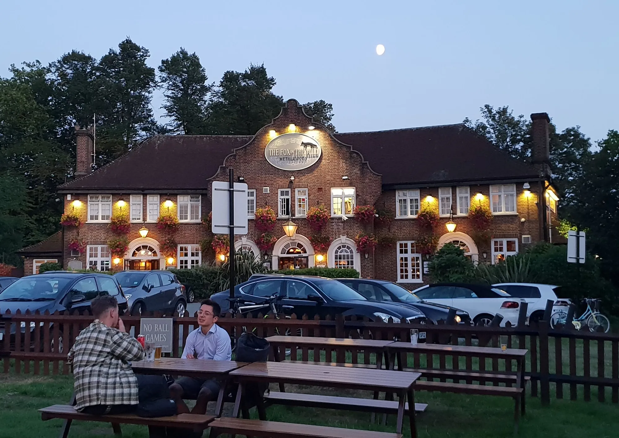 The Fox on the Hill