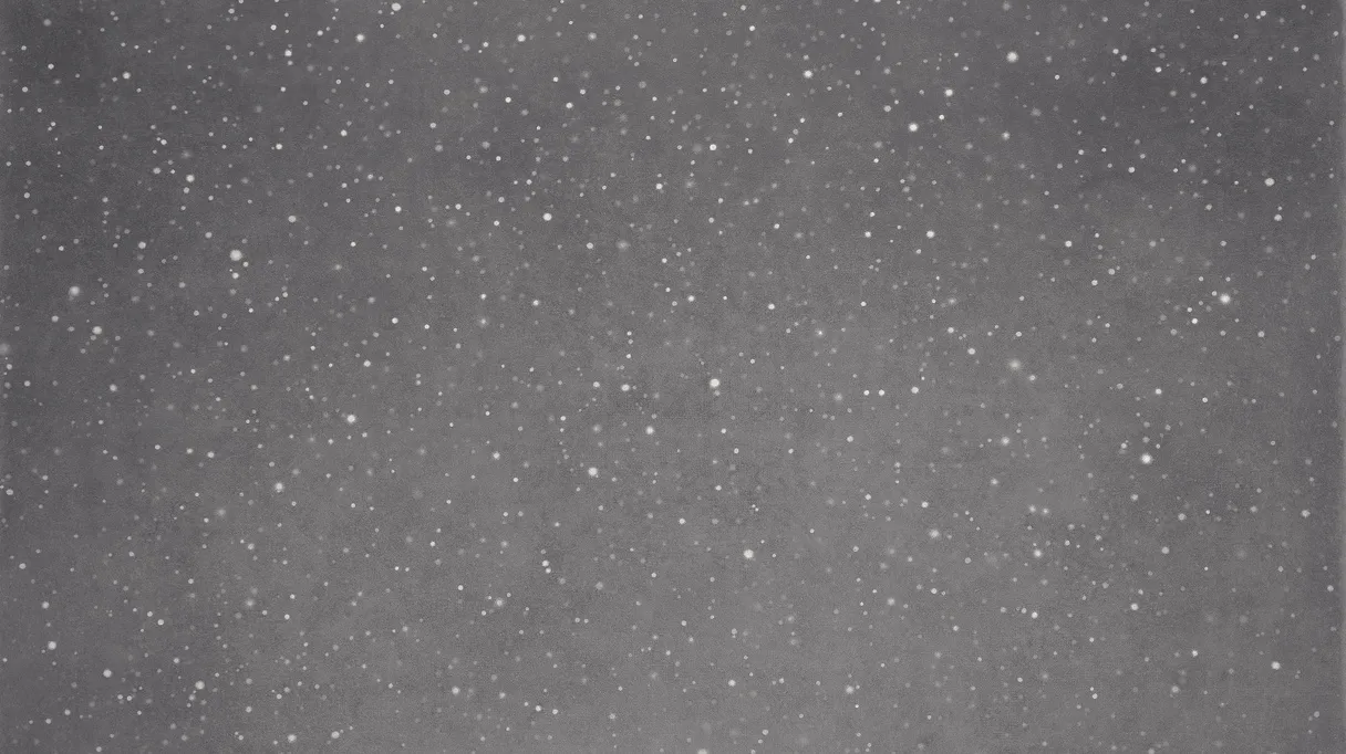Vija Celmins