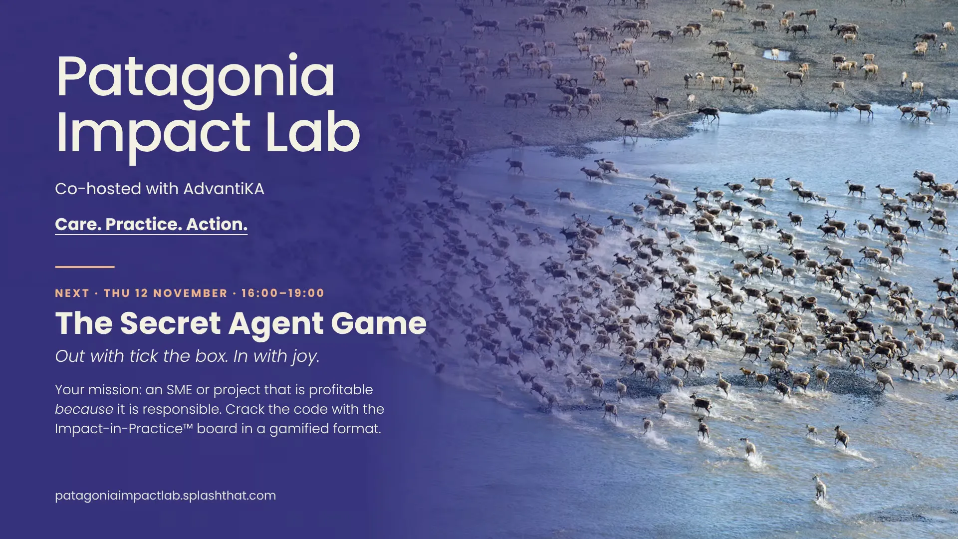 Patagonia Impact Lab - The Secret Agent Game