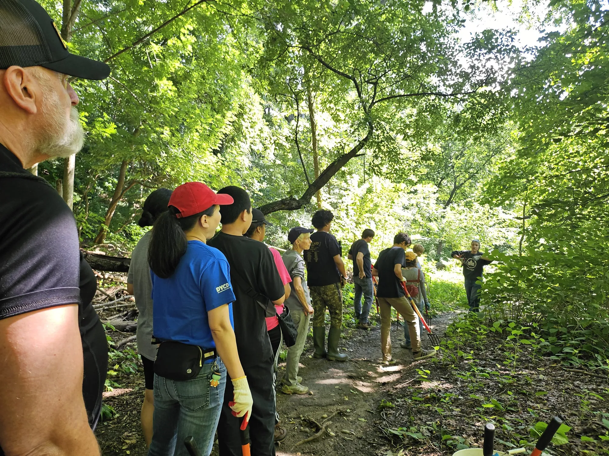 Restoration Fridays at Forest Park