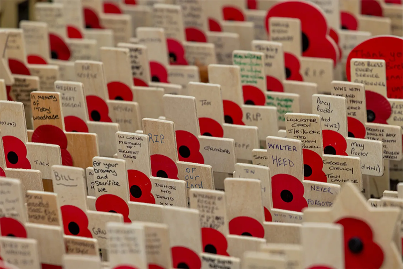 Field of Remembrance 2026