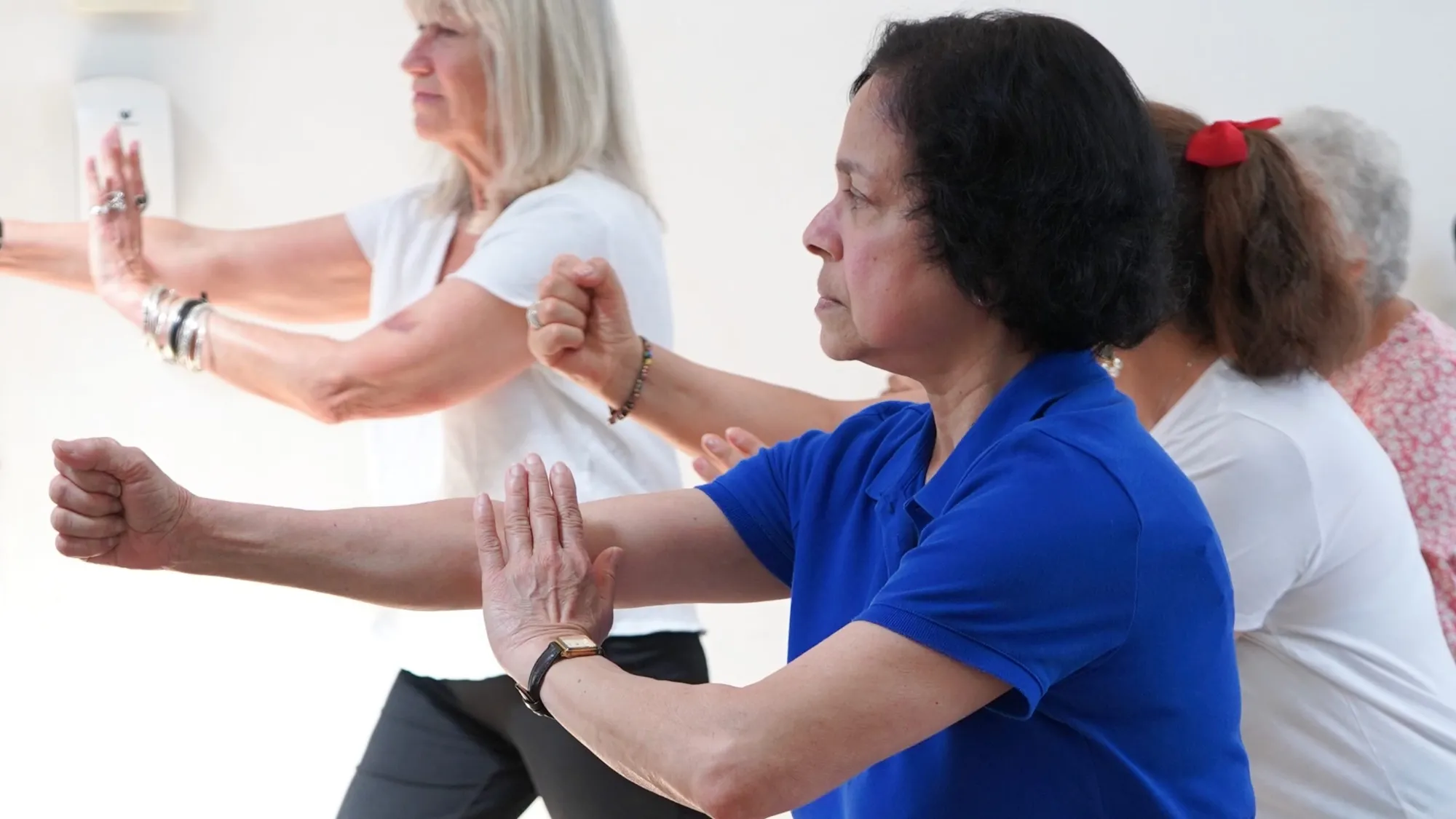 Kung Fu- Beginners (non-contact)