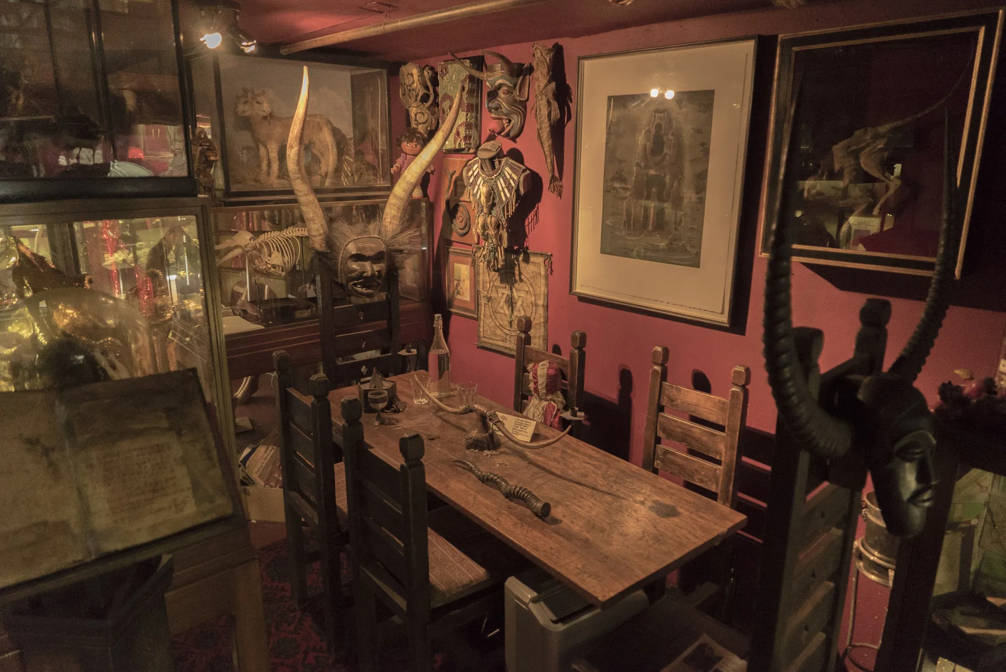 The Viktor Wynd Museum of Curiosities, Fine Art & Natural History