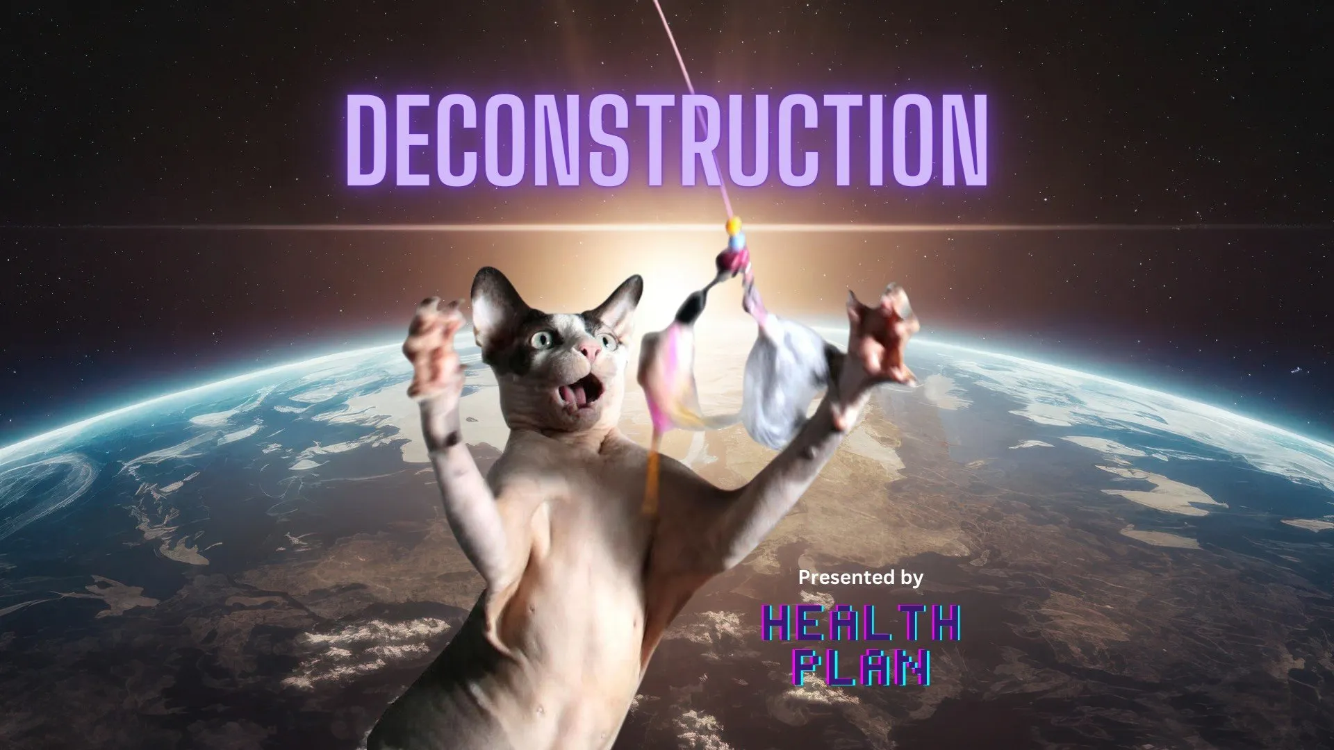 Health Plan: A Deconstruction