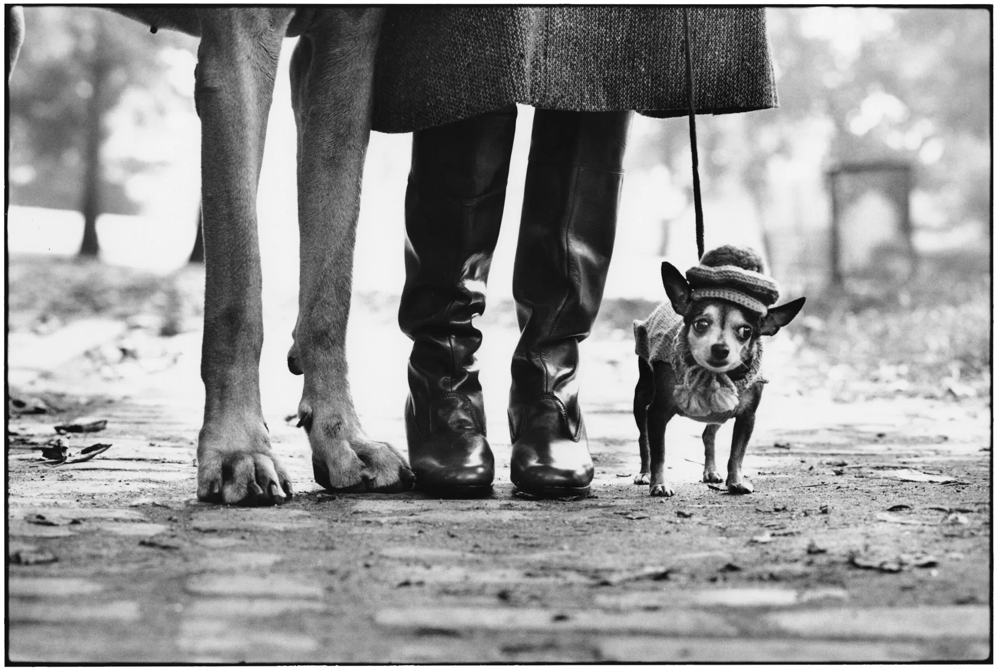 Die Magie der Straße – Meisterwerke der Street Photography