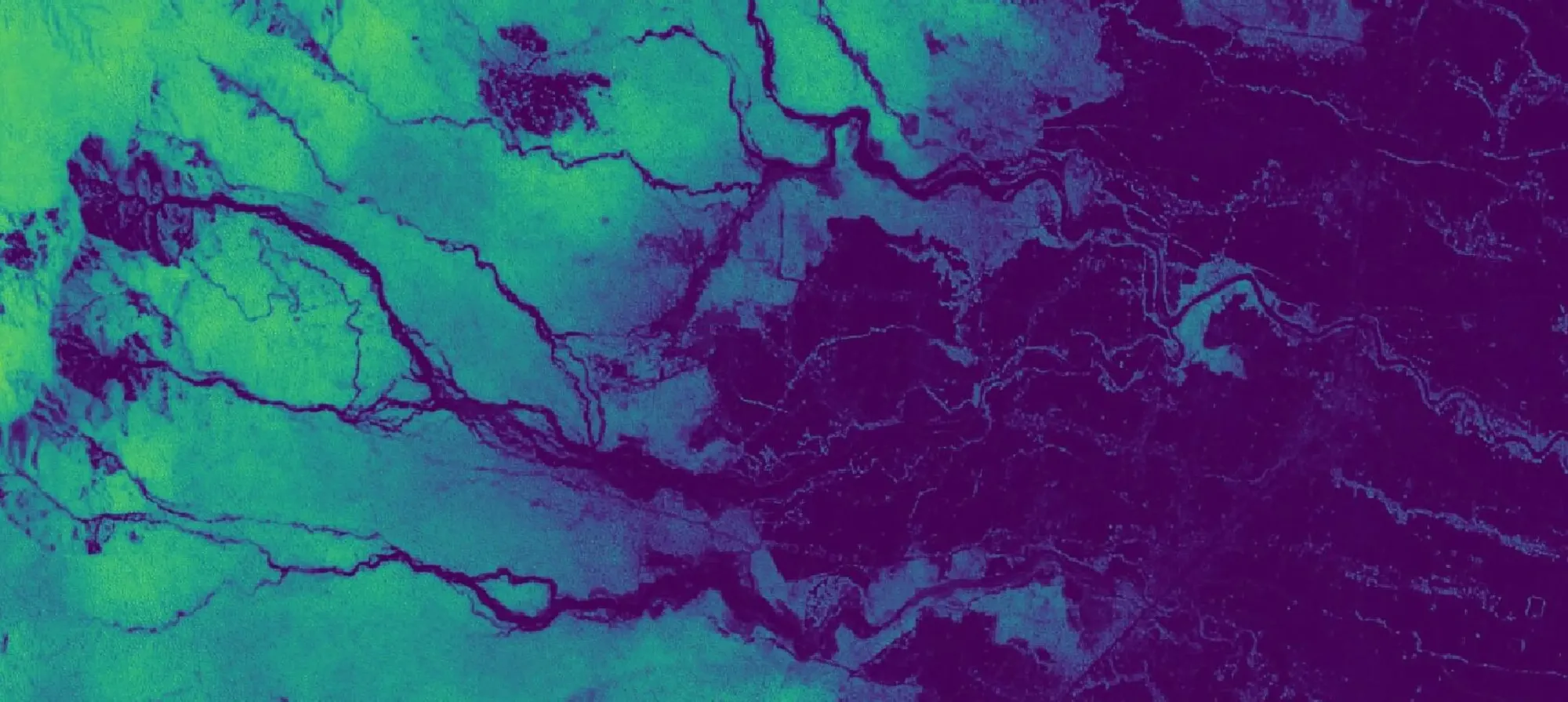 Metabolism across scales: AI and the future of global health