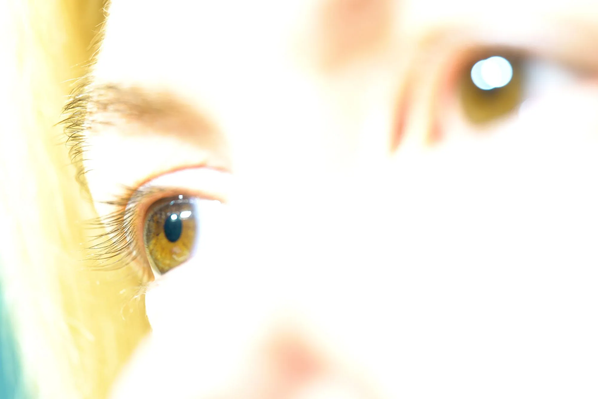 Angharad Williams – Les Vitrines