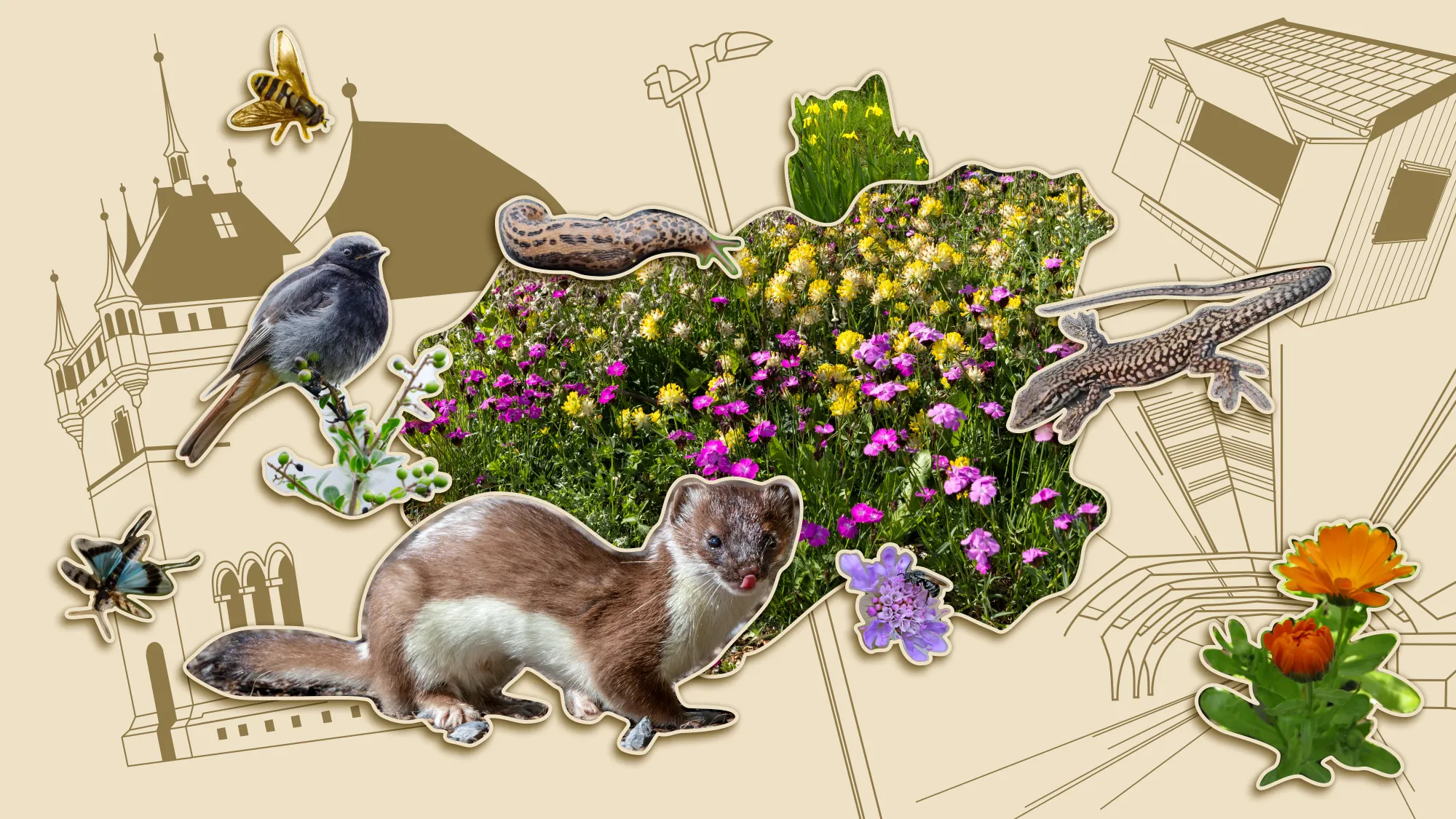 Ausstellung: Vernetzte Natur – Lebenswerte Stadt