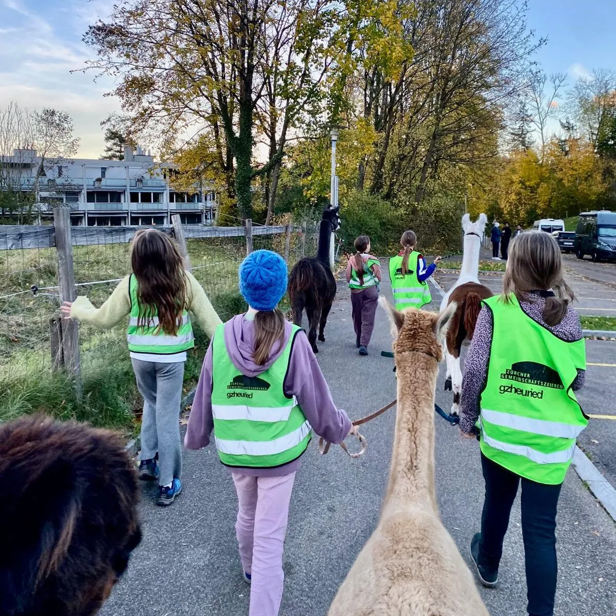 Tiere hautnah: Di, 16:00–18:00 Uhr