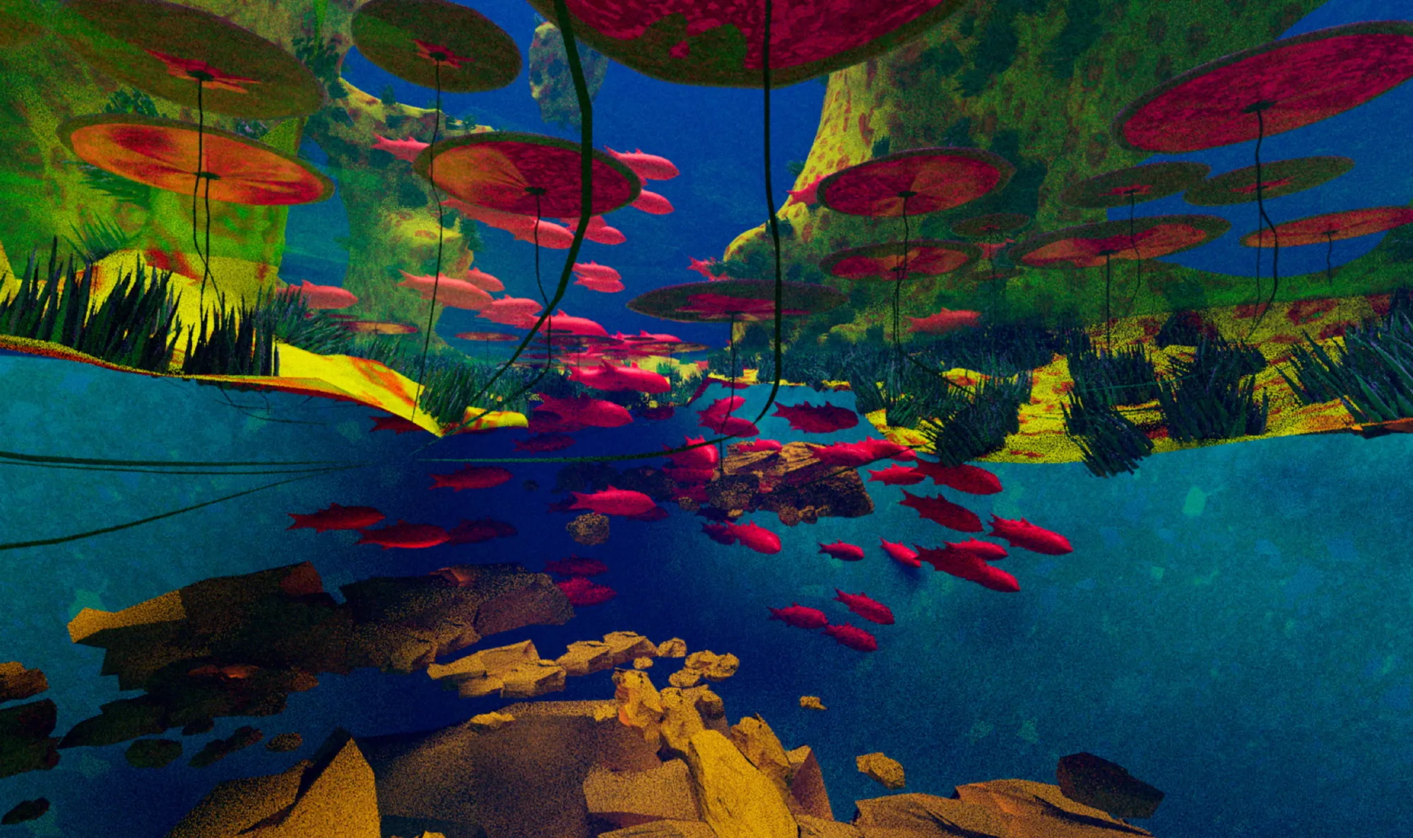 Soft Spaces: Heather Marie Scholl and Eva Wu