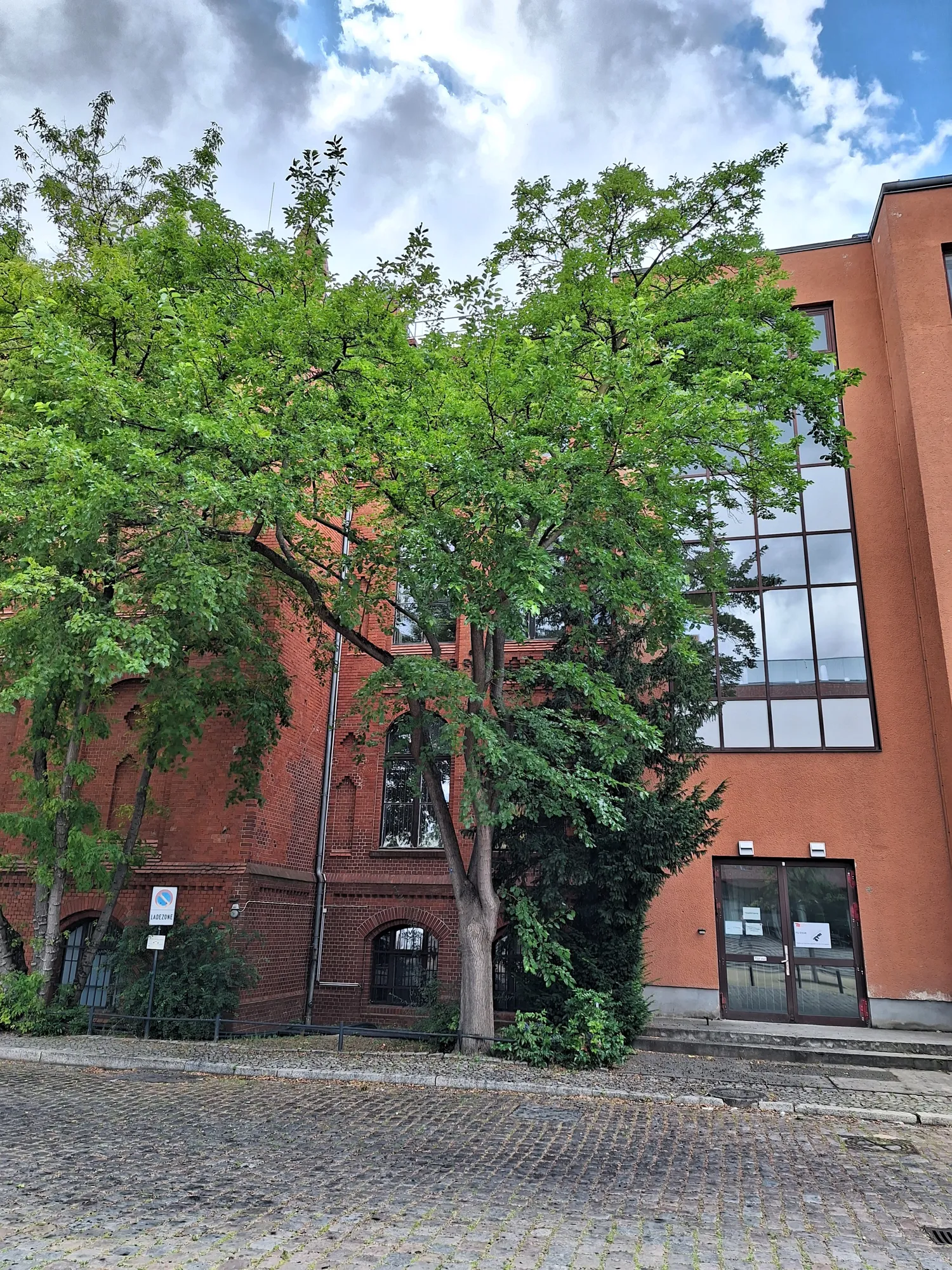 Versuchs- und Lehranstalt für Brauerei in Berlin