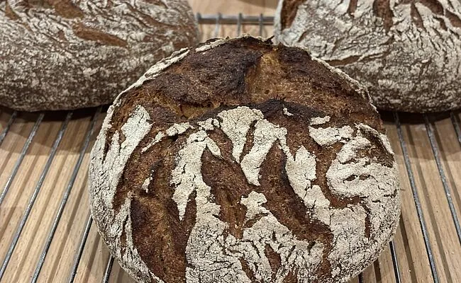Besser backen mit Vollkorn