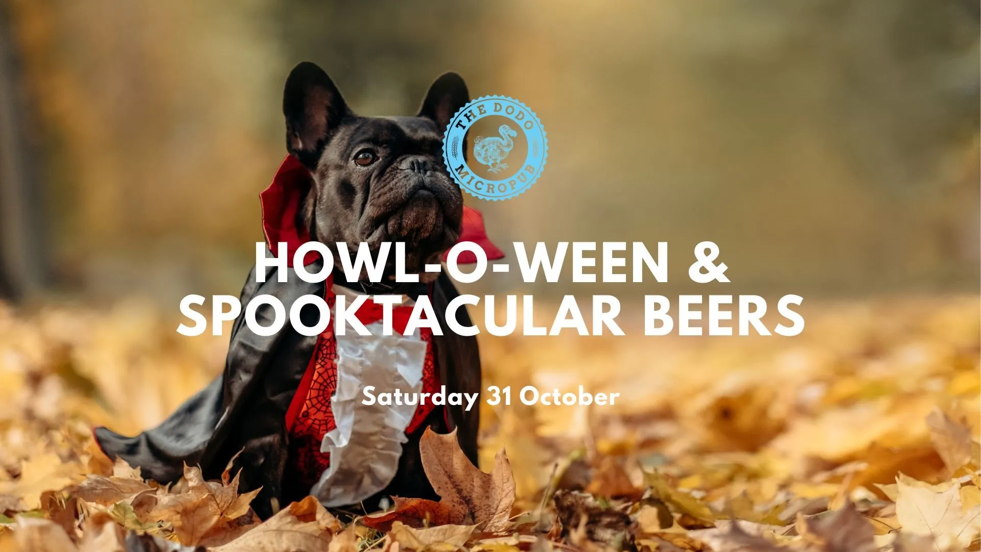 Howl-O-Ween & Spooktacular Beers