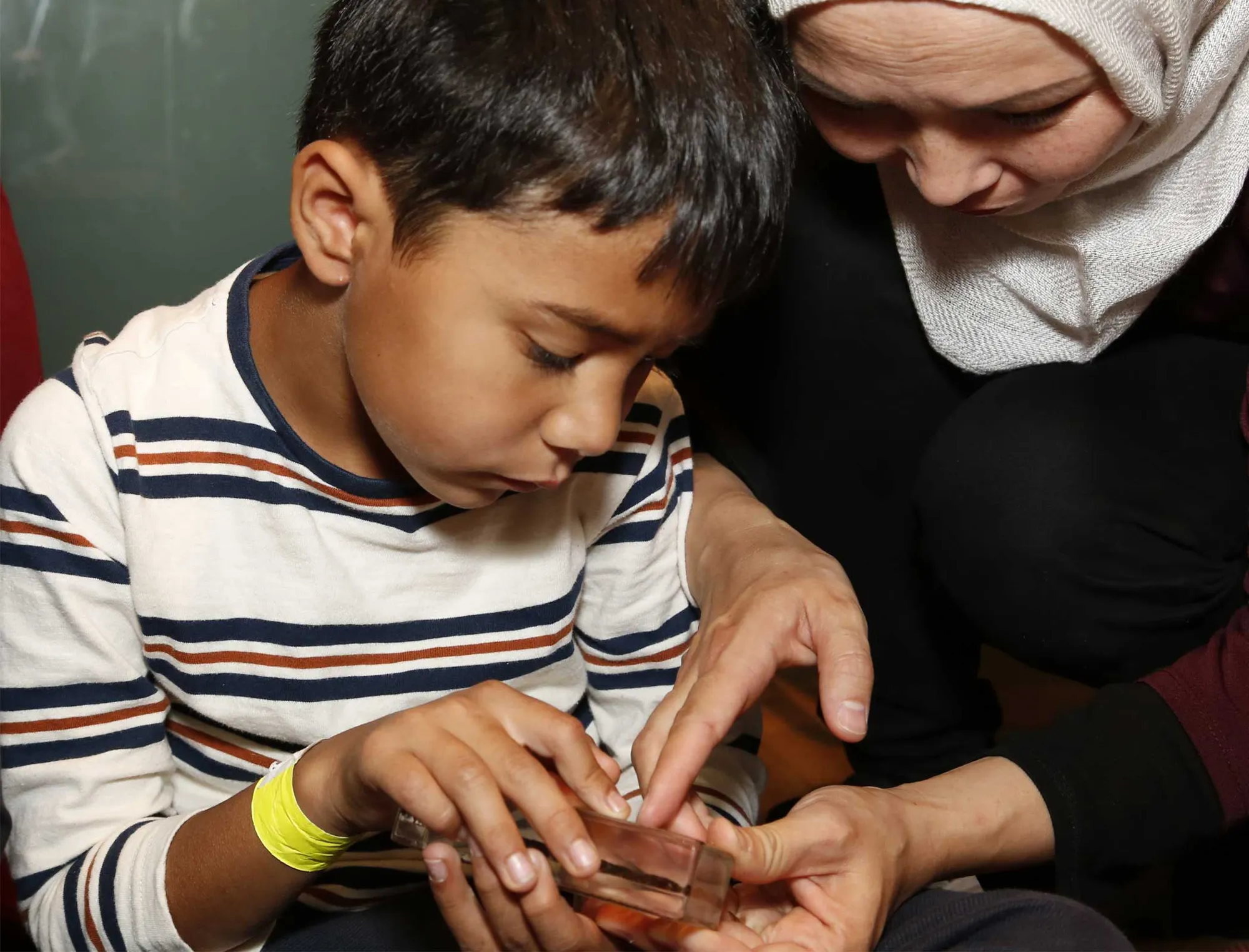 Home Education Workshops – Arctic Adventure