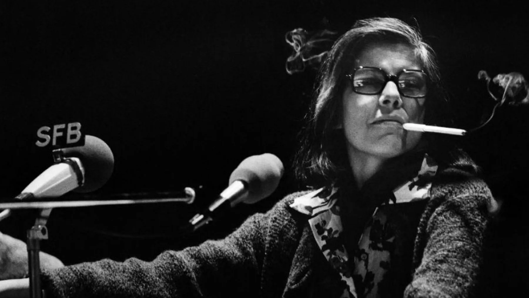 Susan Sontag – Seeing and Being Seen