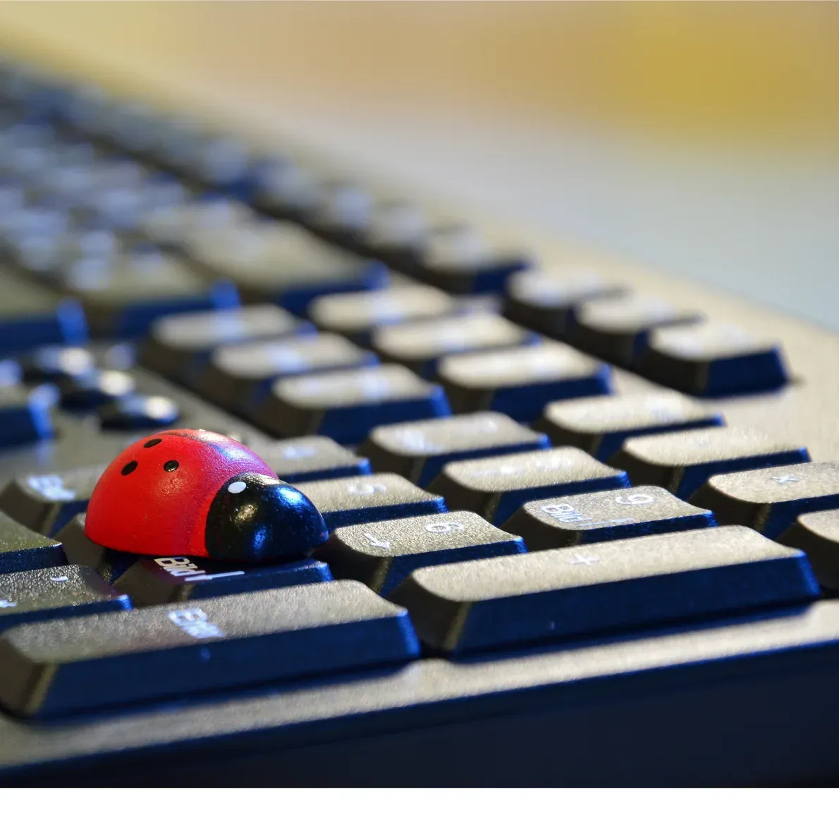 Zeitgut Digital – digitale Schulung, GZ Höngg