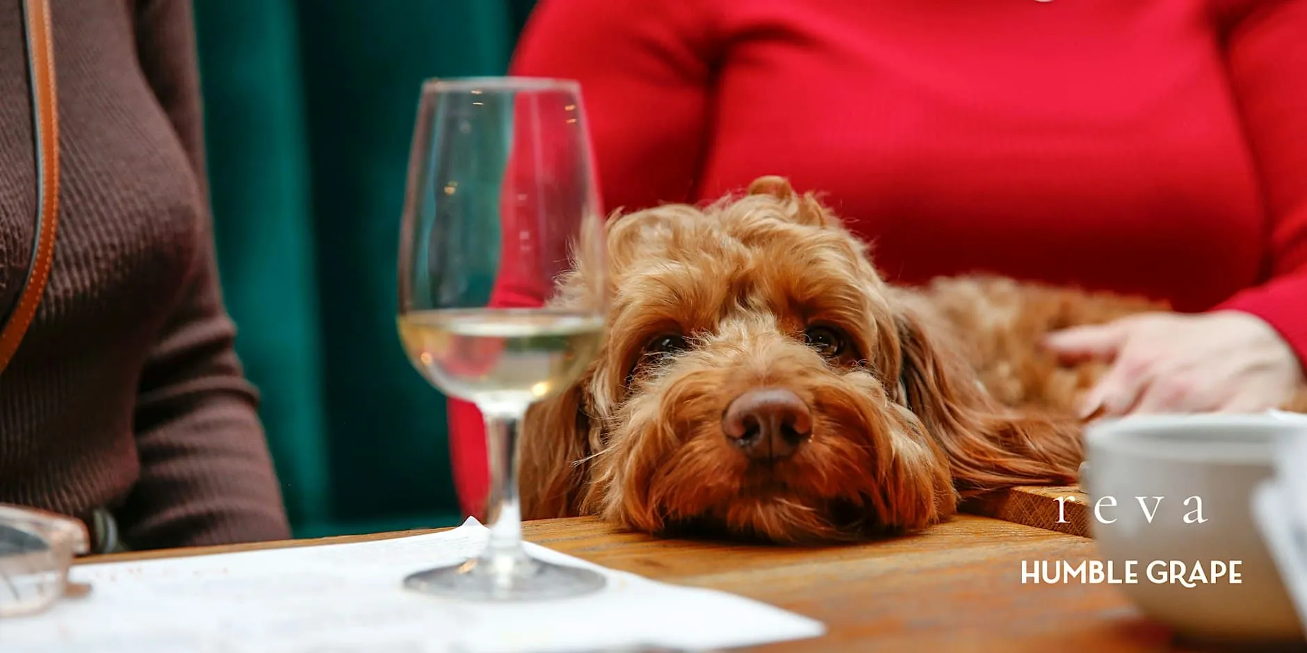 Paws & Pours: Wine Tasting Social For Dog Lovers