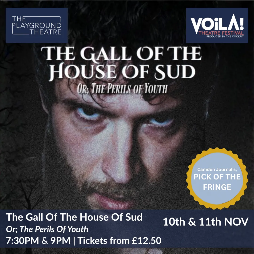 The Gall Of The House Of Sud: The Perils of Youth Play