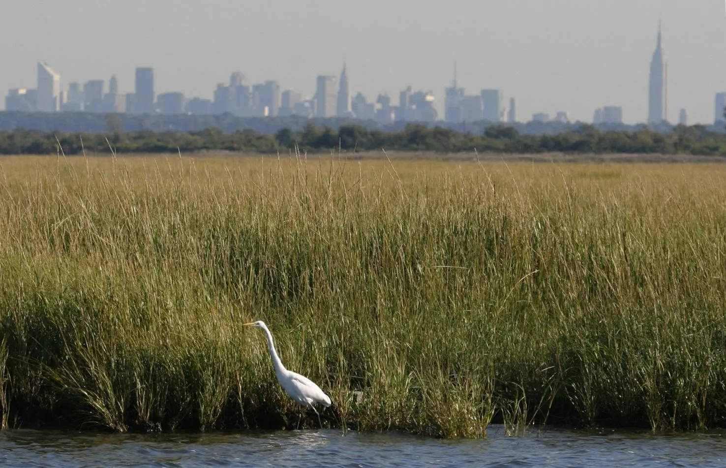 Resilient Jamaica Bay Walk