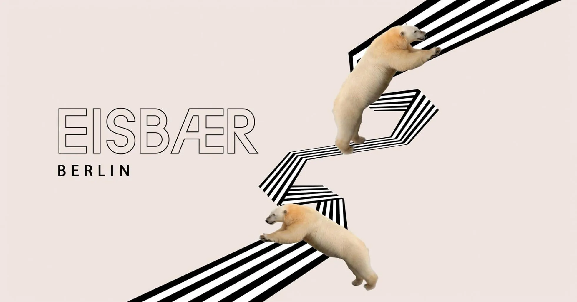 Eisbär