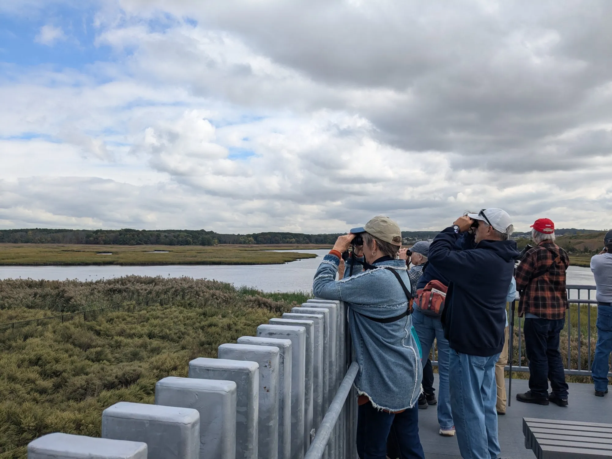 Bird and Nature Walk: Fresh Kills - North Park