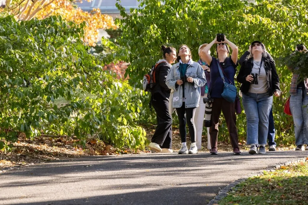 Garden Circle Event: Fall Migration Bird Walk