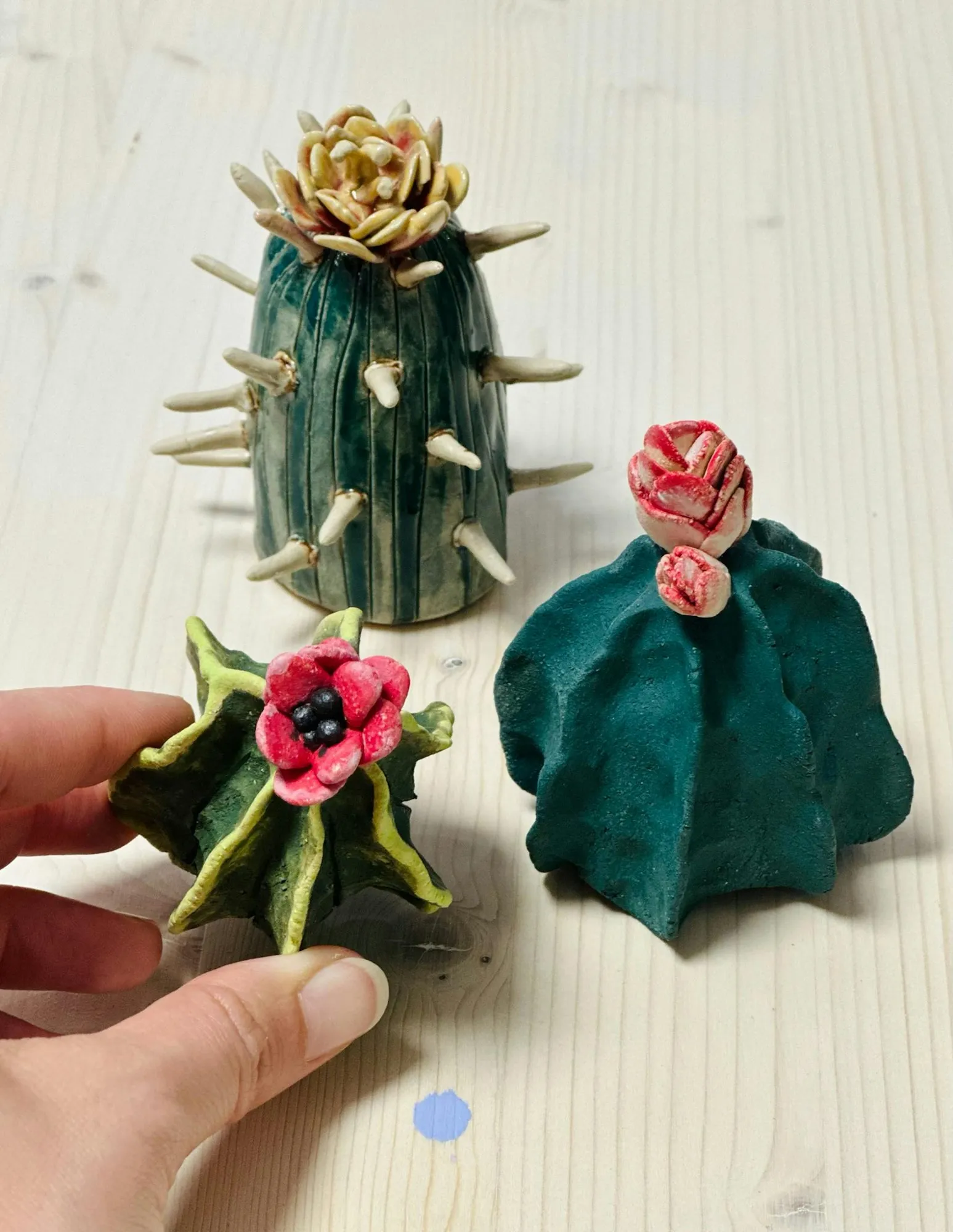 Succulent Life