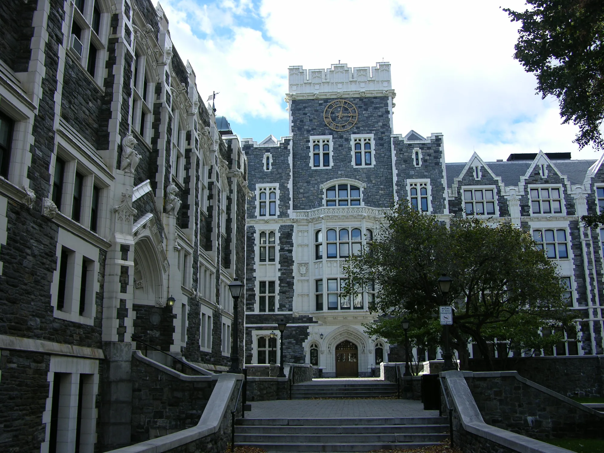 The City College of New York