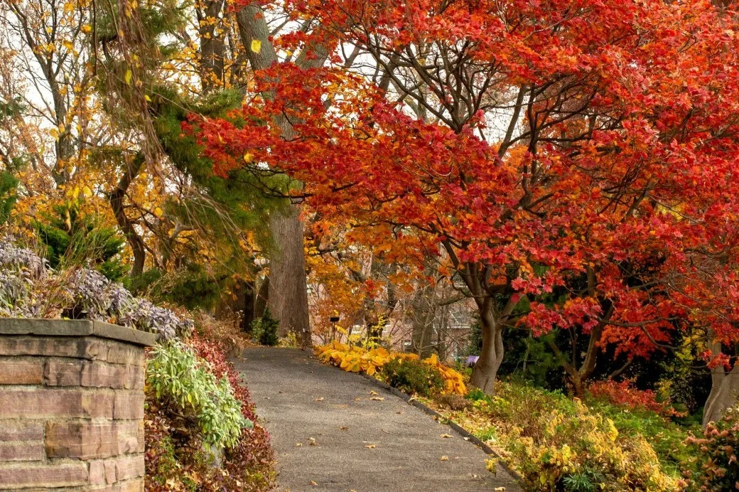 Fall Splendor Tour