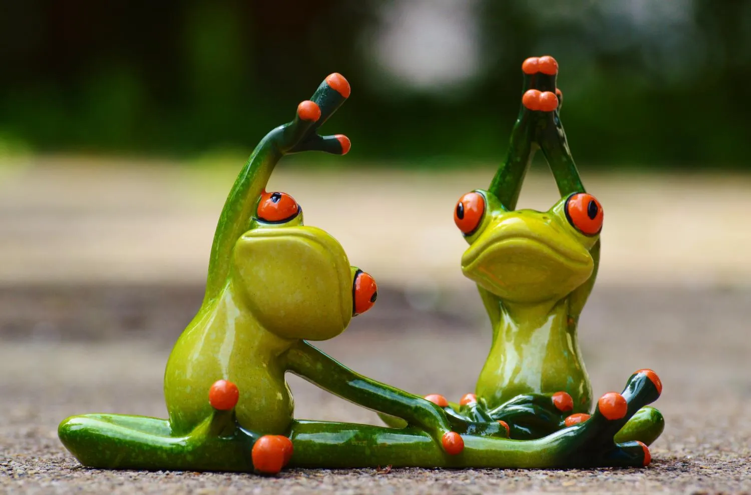 Fit und Fun mit Yvonne